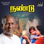 Nandu movie Poster Nandu movie poster