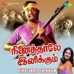 Ninaithale Inikkum movie Poster Ninaithale Inikkum movie poster