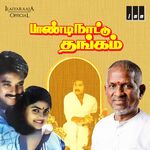 Paandi Nattu Thangam movie Poster Paandi Nattu Thangam movie poster