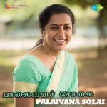 Palaivana Cholai movie Poster Palaivana Cholai movie poster