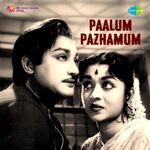 Palum Pazhamum movie Poster Palum Pazhamum movie poster