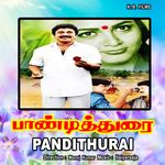 Pandithurai movie Poster Pandithurai movie poster