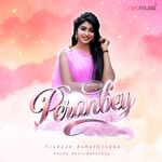 Peranbey movie Poster Peranbey movie poster
