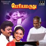 Periya Marudhu movie Poster Periya Marudhu movie poster