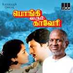 Pongi Varum Kaveri movie Poster Pongi Varum Kaveri movie poster