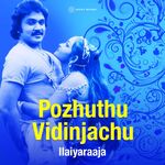Pozhuthu Vidinchachu movie Poster Pozhuthu Vidinchachu movie poster