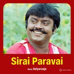 Sirai Paravai movie Poster Sirai Paravai movie poster