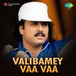 Valibame Vaa Vaa movie Poster Valibame Vaa Vaa movie poster