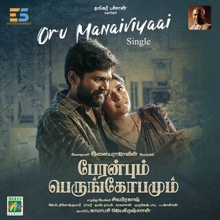 Peranbum Perungobamum movie poster
